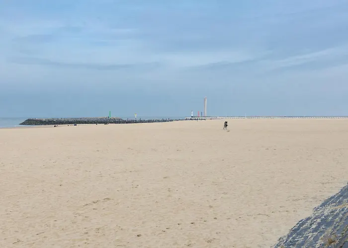 Lecomte - The Shoreline Beachflow Daire